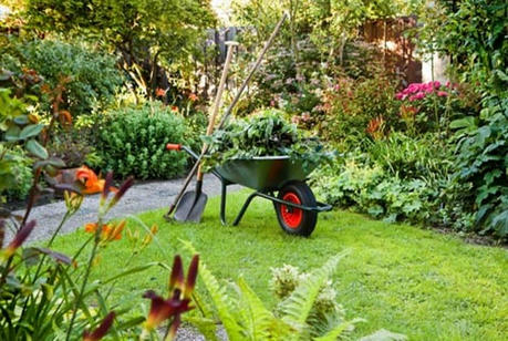 The Value And Future Trend Of Horticultural Services